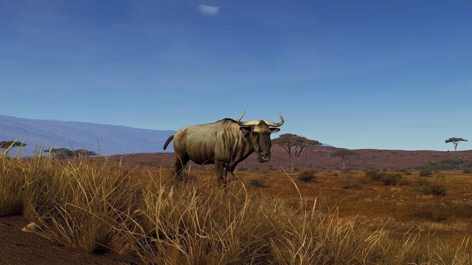 Скриншот 7 из Way of the Hunter: Tikamoon Plains