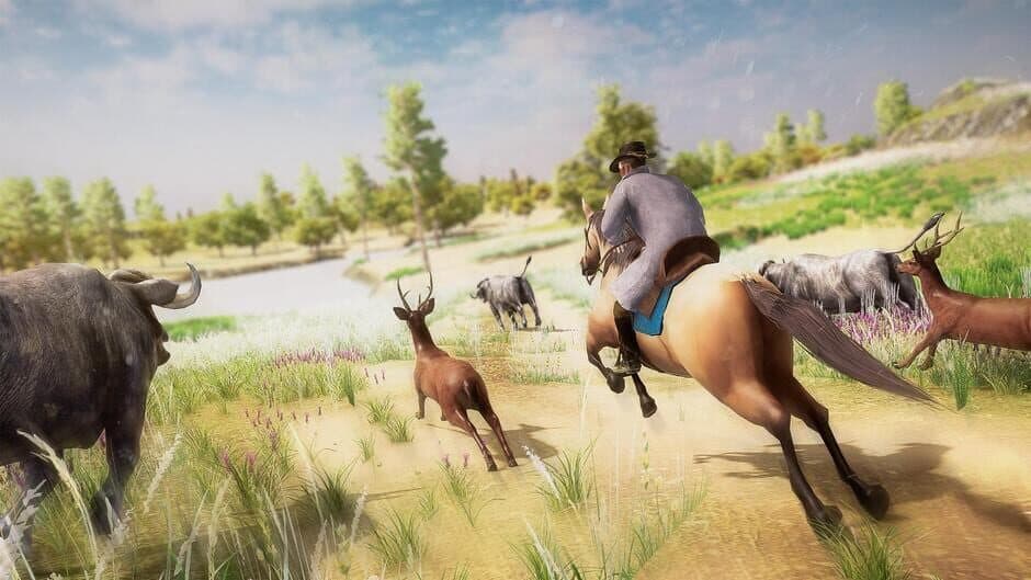 Скриншот 8 из Westland Cowboy: Rodeo Rider