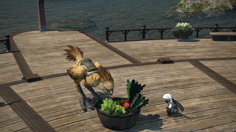 Скриншот 9 из Final Fantasy XIV: Defenders of Eorzea