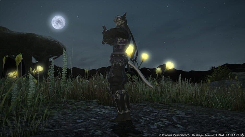 Скриншот 1 из Final Fantasy XIV: Dreams of Ice