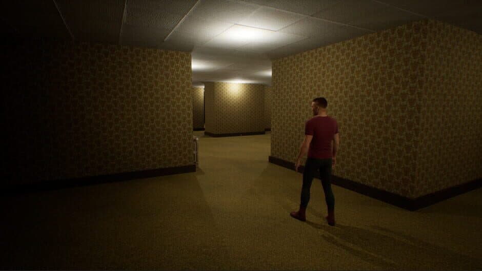 Скриншот 2 из Deja Vu: The Backrooms