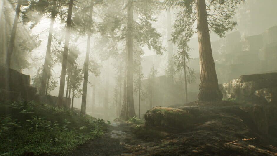 Скриншот 4 из Black Powder Desolation