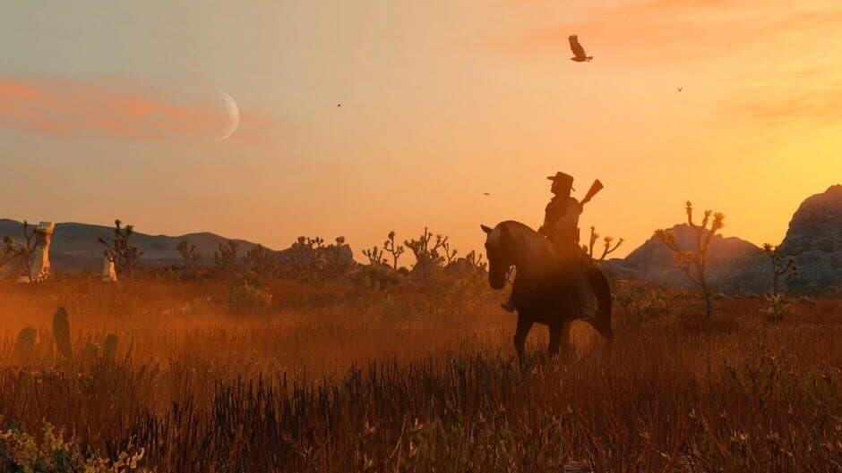 Скриншот 1 из Red Dead Redemption
