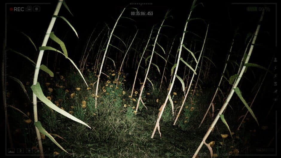 Скриншот 5 из Pombero: The Lord of the Night - Reborn