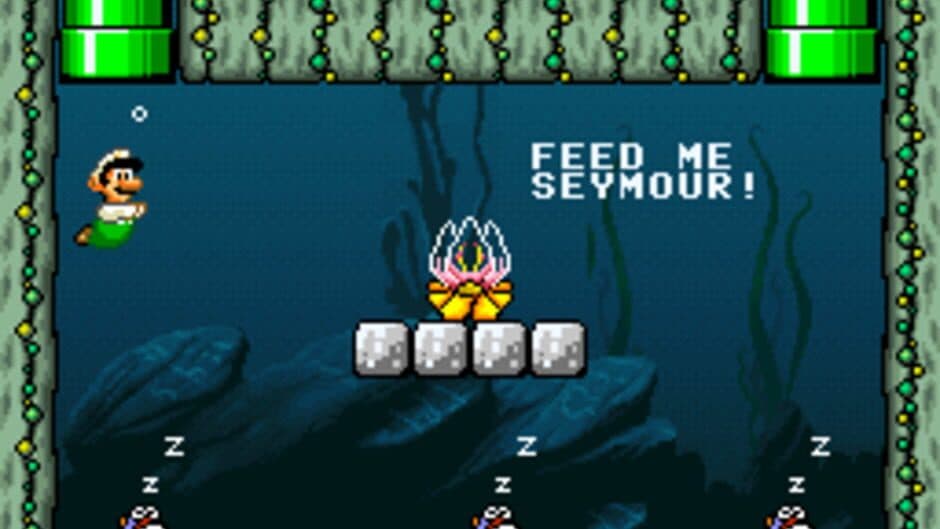Скриншот 4 из Luigi's Misadventures 3: Recipe for a Disaster