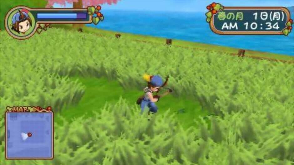 Скриншот 8 из Harvest Moon: Hero of Leaf Valley