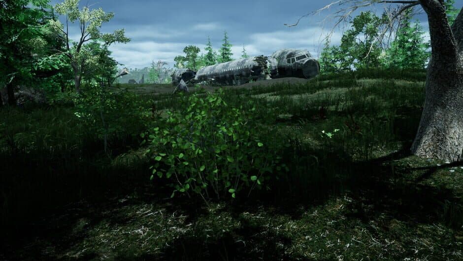 Скриншот 3 из The Isle Survival