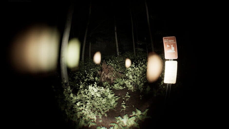 Скриншот 3 из The North Woods