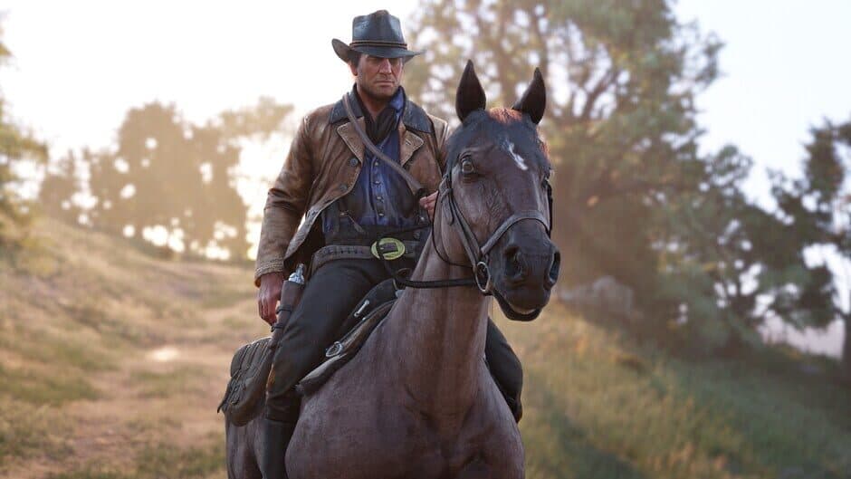 Скриншот 1 из Red Dead Redemption & Red Dead Redemption 2 Bundle