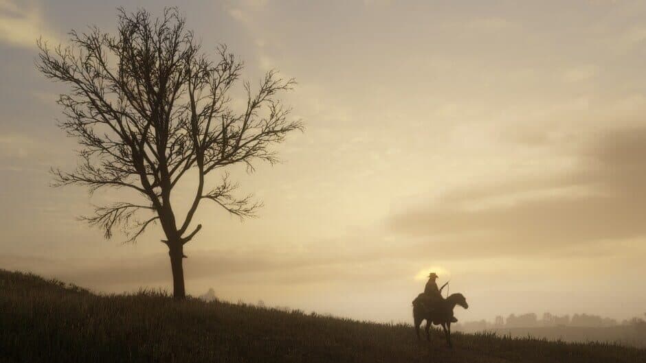 Скриншот 8 из Red Dead Redemption & Red Dead Redemption 2 Bundle