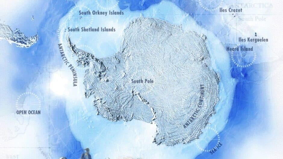 Скриншот 1 из Attenborough's Antarctic: An Exploration of Life in the Freezer