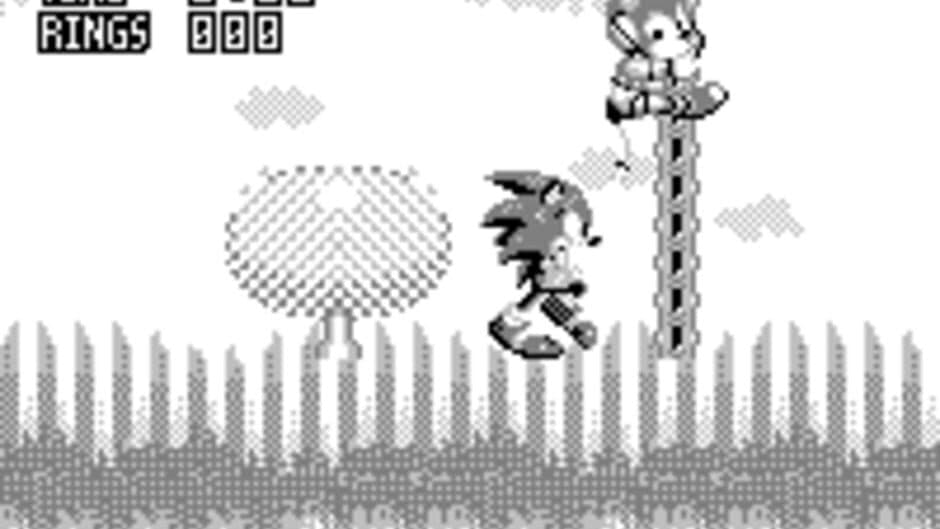 Скриншот 1 из Sonic the Hedgehog 2