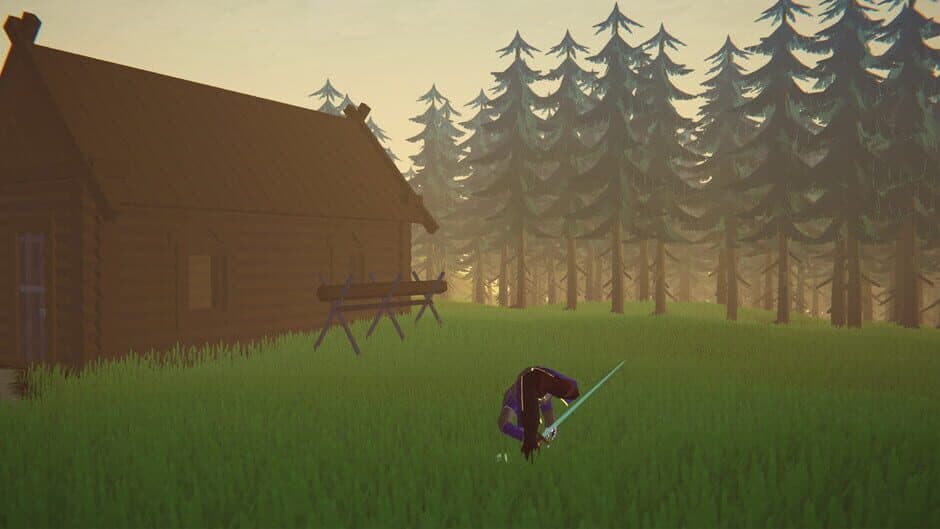 Скриншот 5 из Sword of the Cat: Lost Hope
