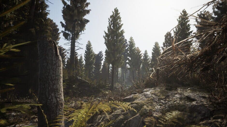 Скриншот 3 из The Great Hunt