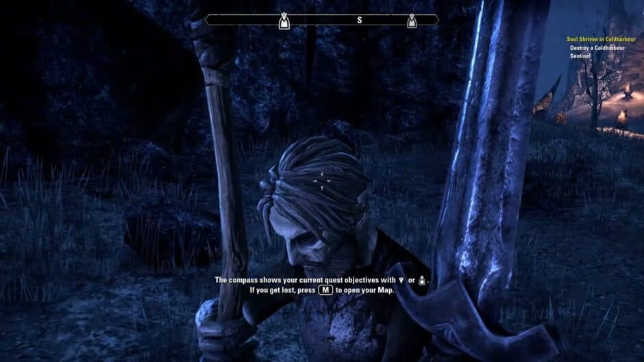 Скриншот 1 из The Elder Scrolls Online: Premium Edition