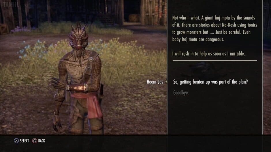 Скриншот 2 из The Elder Scrolls Online: Shadows of the Hist