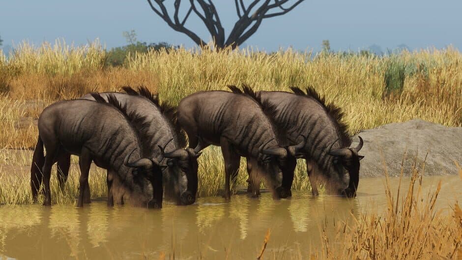 Скриншот 2 из Planet Zoo: Grasslands Animal Pack