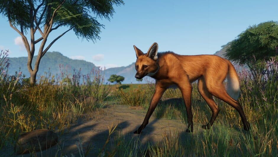 Скриншот 3 из Planet Zoo: Grasslands Animal Pack