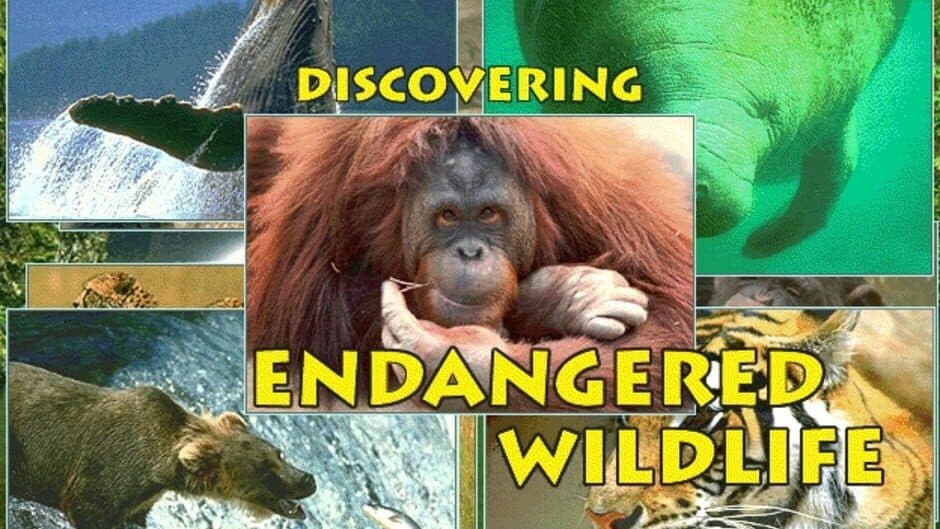 Скриншот 10 из Discovering Endangered Wildlife
