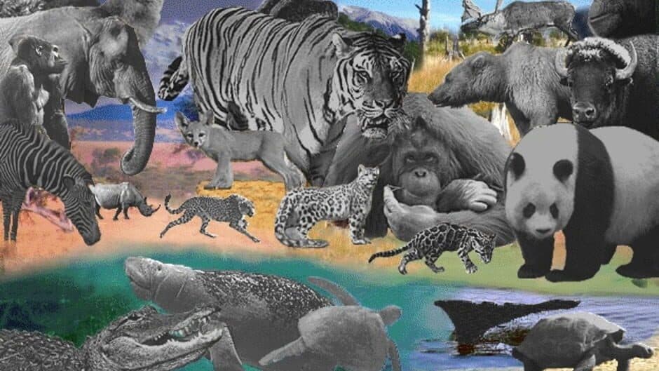 Скриншот 5 из Discovering Endangered Wildlife