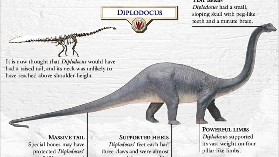 Скриншот 2 из 3D Dinosaur Hunter