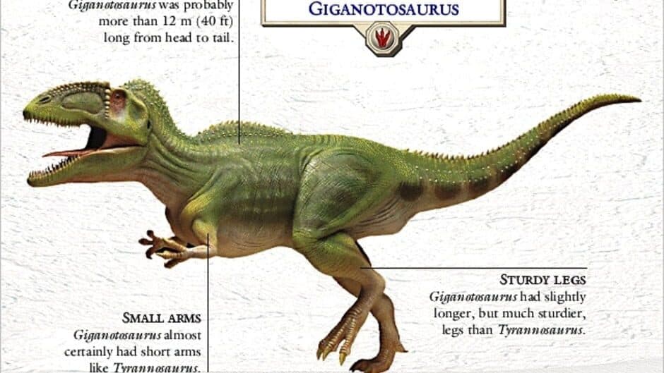 Скриншот 5 из 3D Dinosaur Hunter