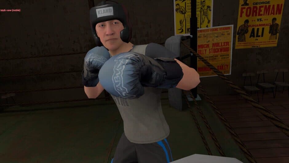 Скриншот 4 из True Boxing VR