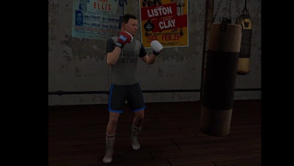 Скриншот 1 из True Boxing VR