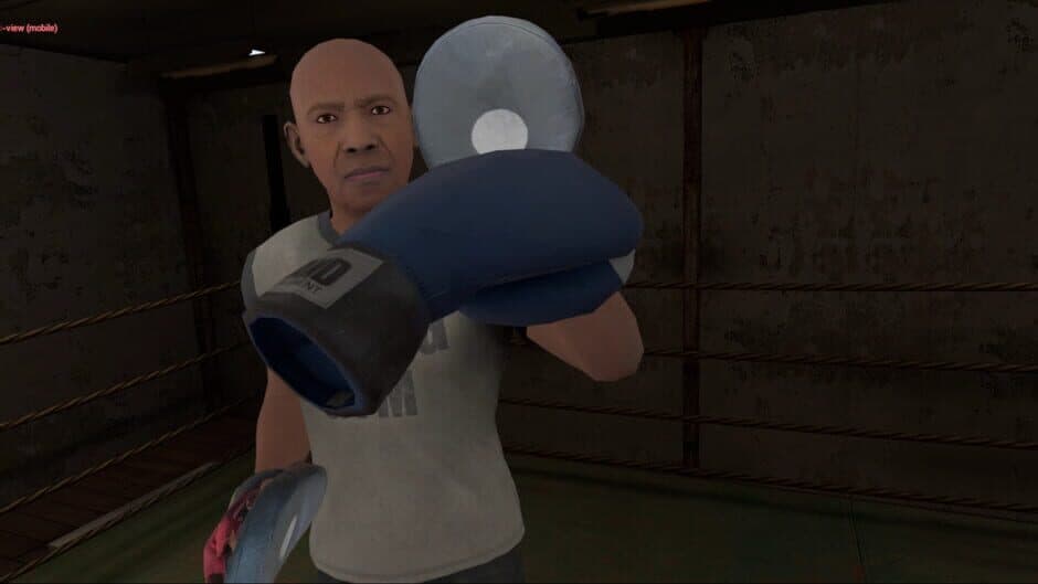 Скриншот 2 из True Boxing VR