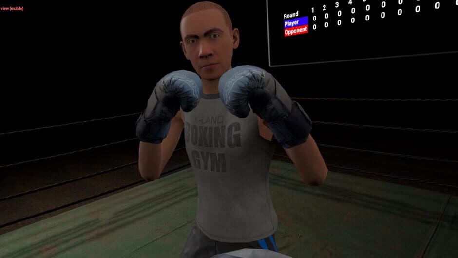 Скриншот 8 из True Boxing VR