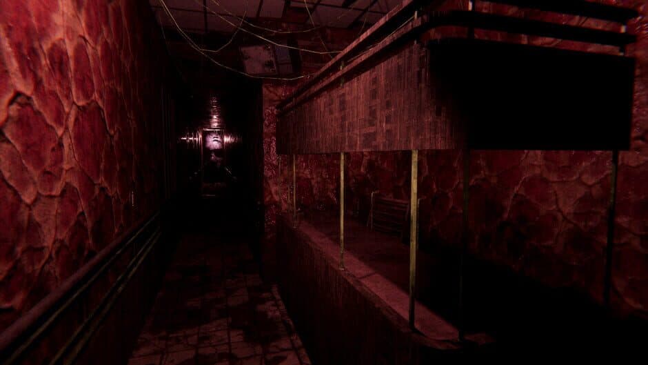 Скриншот 6 из Sorrow Asylum 2