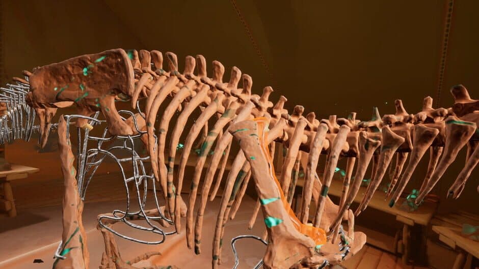 Скриншот 2 из Fossil Diggers VR