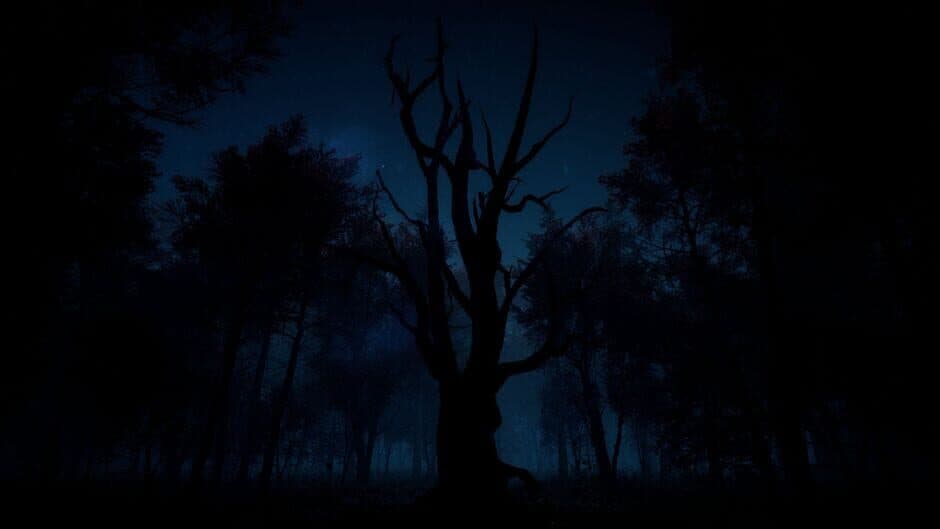 Скриншот 3 из Slender: The Arrival