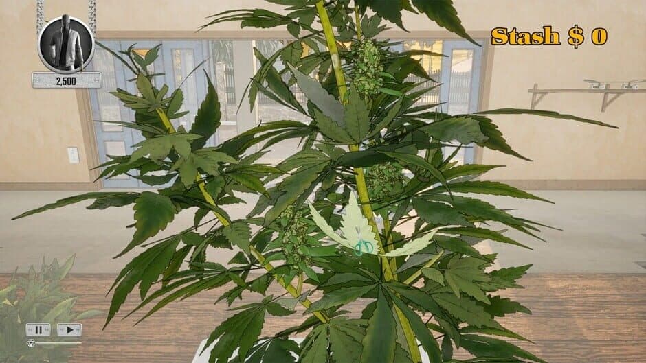 Скриншот 3 из Trim For Your Dream