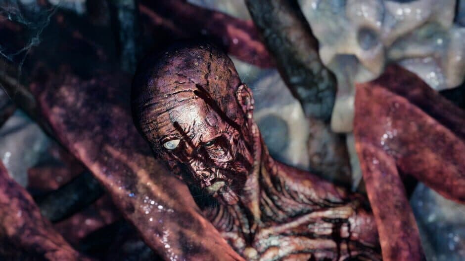 Скриншот 7 из The Chant: The Gloom Below