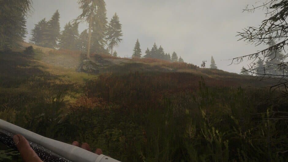 Скриншот 3 из TheHunter: Call of the Wild - Hunter Power Pack