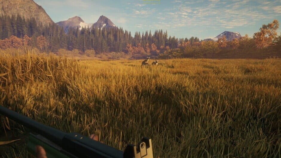 Скриншот 4 из TheHunter: Call of the Wild - Hunter Power Pack
