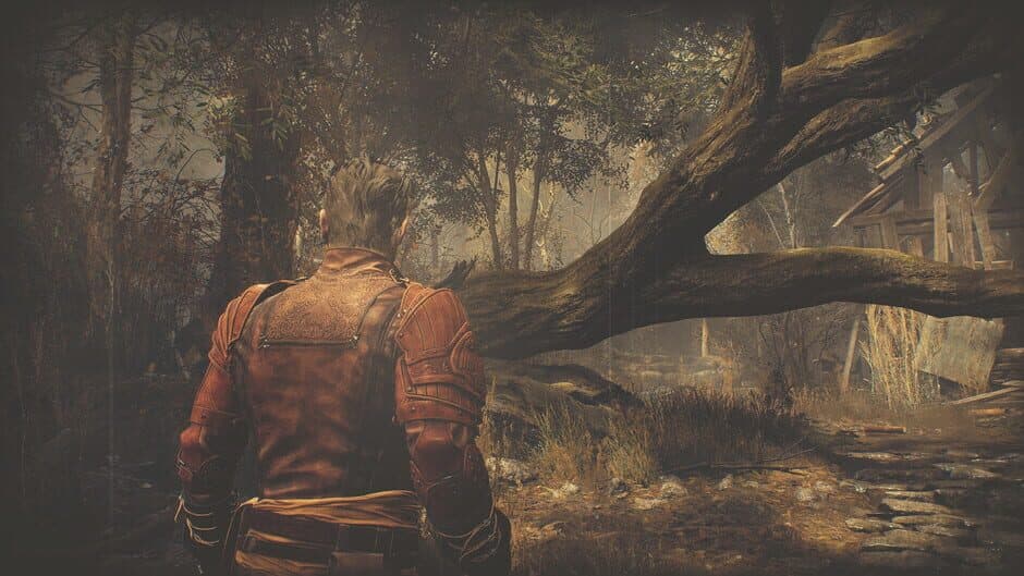 Скриншот 1 из Resident Evil 4: Extra DLC Pack