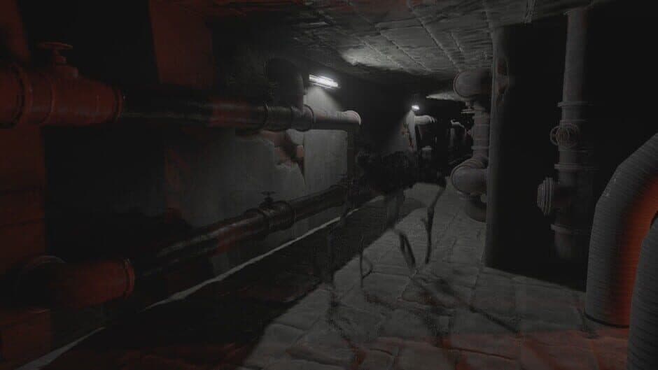 Скриншот 7 из Lost Hope: Backrooms