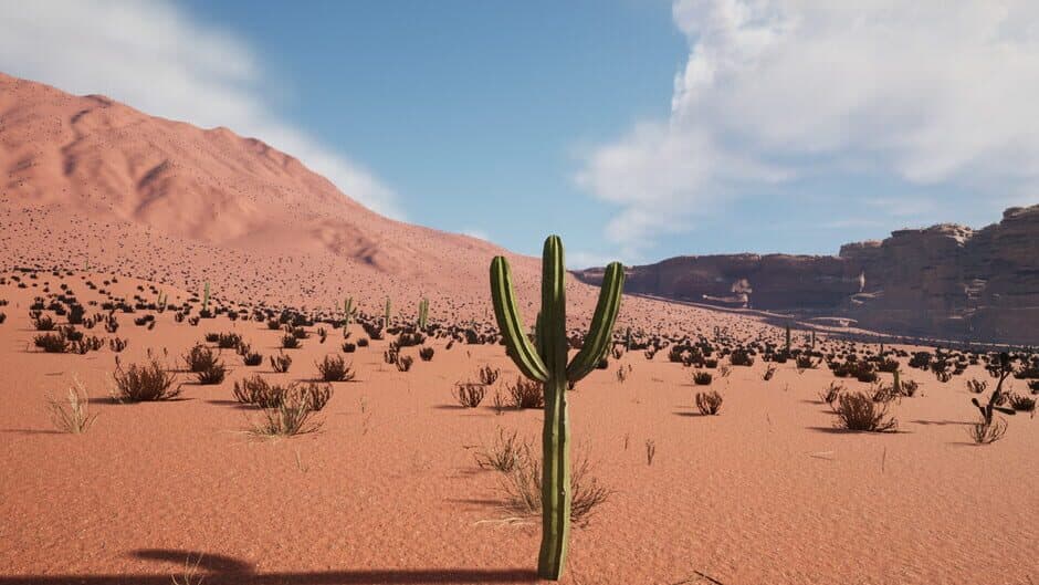 Скриншот 1 из Cactus Simulator 2