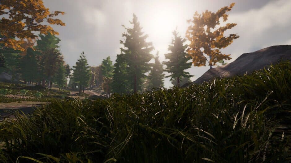 Скриншот 3 из Wild Hunting