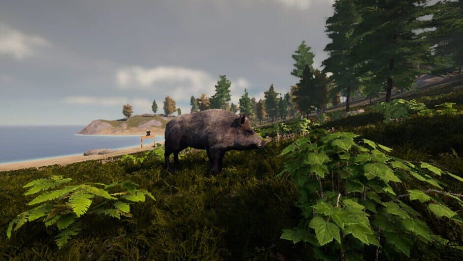 Скриншот 4 из Wild Hunting
