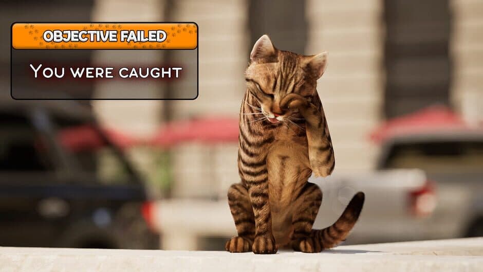 Скриншот 2 из Cat Life Simulator
