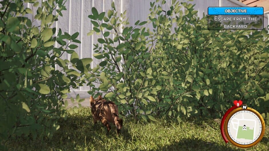 Скриншот 7 из Cat Life Simulator
