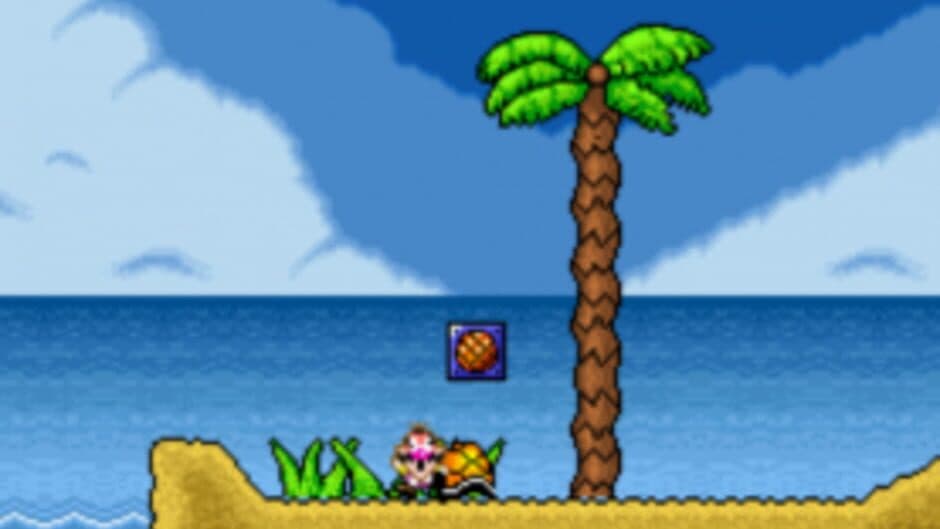 Скриншот 1 из Wario's Adventure