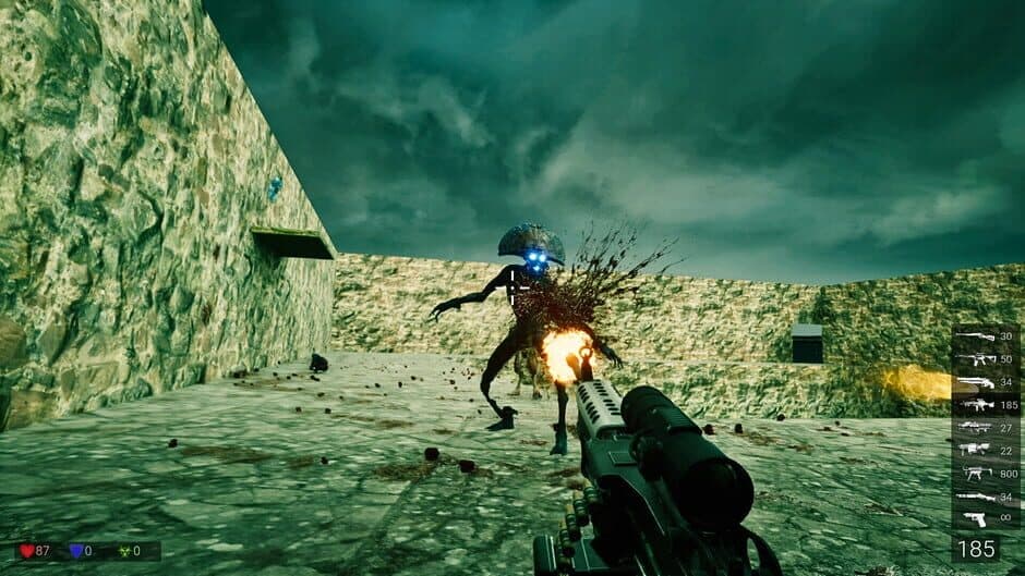 Скриншот 6 из Bloodkill