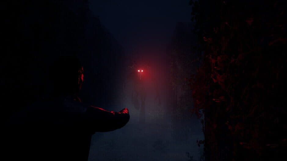 Скриншот 2 из The Path to Memento Mori