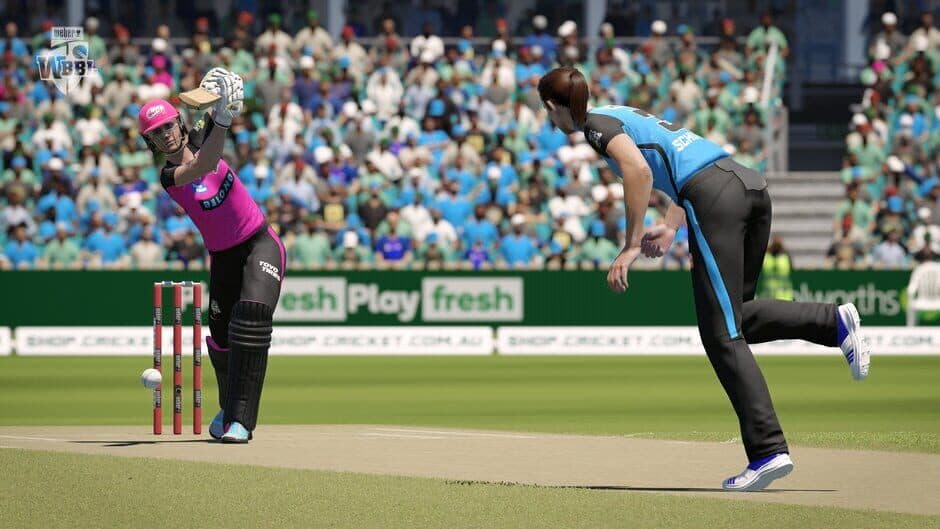 Скриншот 9 из Cricket 24