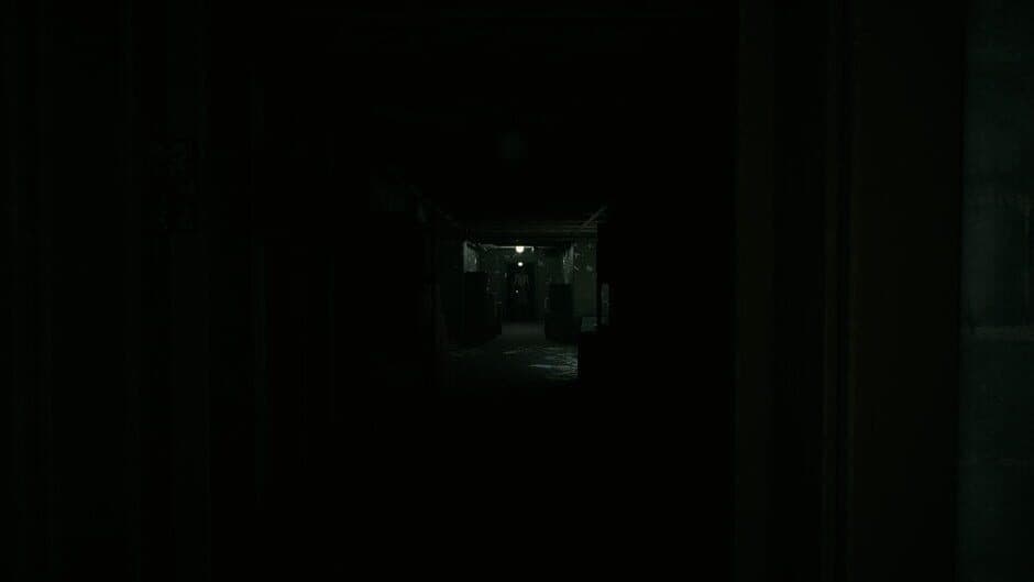 Скриншот 2 из Shadows Of Deceit