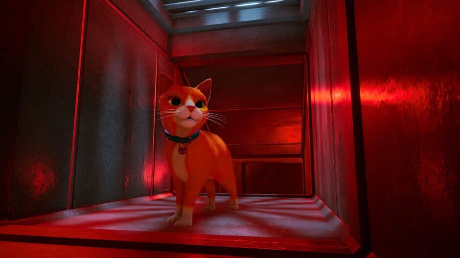 Скриншот 5 из Schrodinger's Cat Burglar
